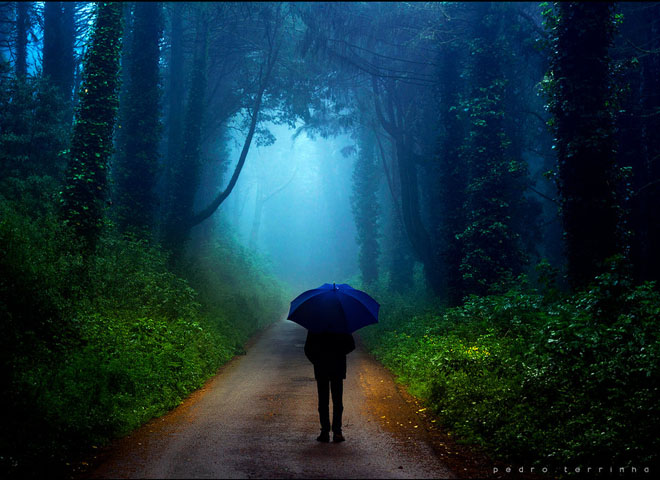 beatiful-dream-colorful-pedro-terrinha-photography